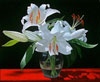 Davis-White Lilies in Soho